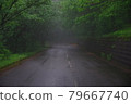 Rainy mountain path 79667740