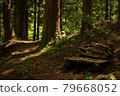 Forest handmade bench 79668052