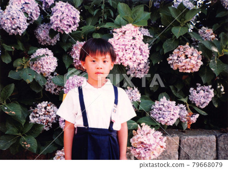 Old film photo Hydrangea and elementary school girl Old film photo Hydrangea and elementary school girl 79668079