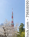 東京塔和櫻花 79668090