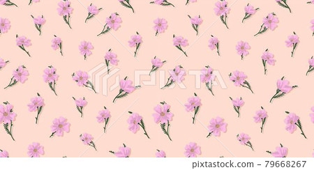 summer designs. lilac wildflowers. Summer seamless pattern for fabric and textile design. Digital paper with pink flowers. Vintage pattern, great design for any purpose. Elegant abstract background. summer designs. lilac wildflowers. Summer seamless pattern for fabric and textile design. Digital paper with pink flowers. Vintage pattern, great design for any purpose. Elegant abstract background. 79668267