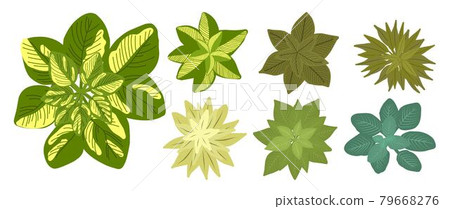 Botanical elements for a landscape plan. Landscaping constructor. Plants top view isolated on white background. Vector illustration Botanical elements for a landscape plan. Landscaping constructor. Plants top view isolated on white background. Vector illustration 79668276