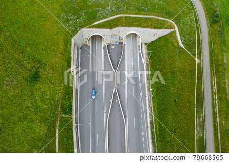 Top view on the tunnel entrance of highway covered with green grass Top view on the tunnel entrance of highway covered with green grass 79668565