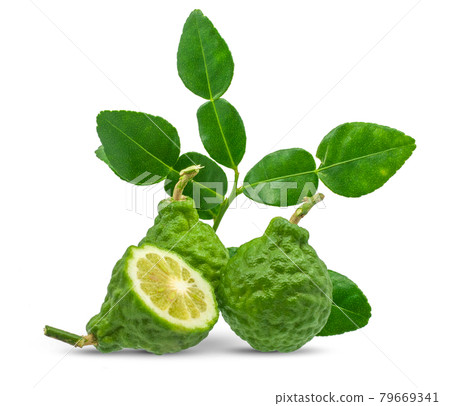 Kaffir lime isolated on white background Kaffir lime isolated on white background 79669341