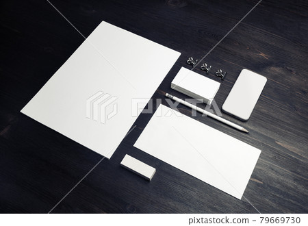 Blank branding identity Blank branding identity 79669730