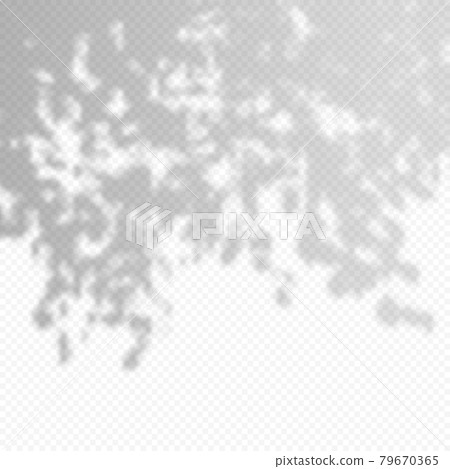 Realistic Vector transparent overlay blured shadow of branch leaves. 79670365