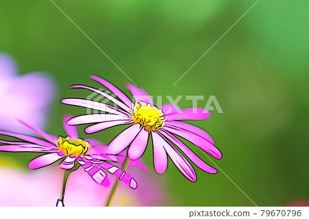 Pastel-toned "Hepatica flower" illustration image 79670796