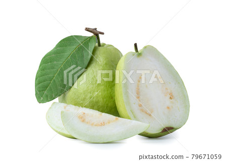 芭樂 番石榴 白底 去背 背景 Guava isolated green leaf グアバ 果物 79671059