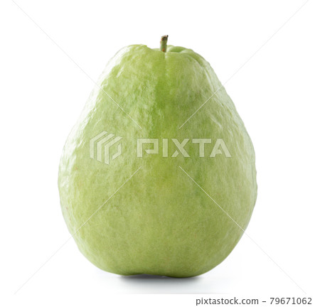 Guava guava white background to back background Guava isolated green leaf グアバ fruit Guava guava white background to back background Guava isolated green leaf グアバ fruit 79671062