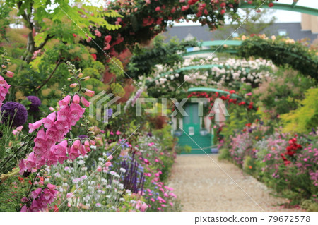 濱名湖花園公園的莫內花園 濱名湖花園公園的莫內花園 79672578