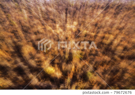 Abstract zooming effect from the bush in Kruger national park, South Africa Abstract zooming effect from the bush in Kruger national park, South Africa 79672676
