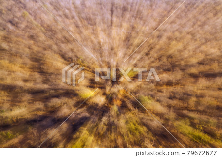 Abstract zooming effect from the bush in Kruger national park, South Africa Abstract zooming effect from the bush in Kruger national park, South Africa 79672677