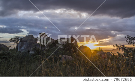 Sunset in Kruger National park, South Africa 79672696