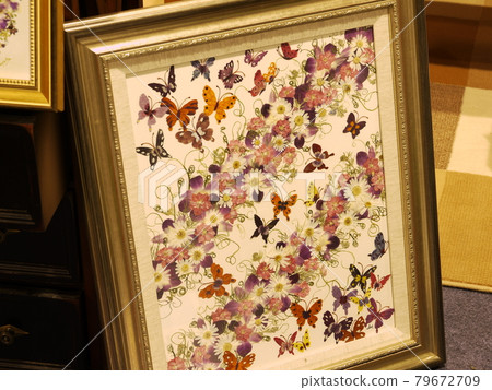 Flowers, flowers 79672709