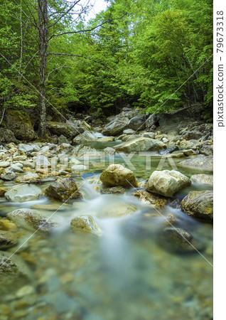 金浦山河 金浦山河 79673318