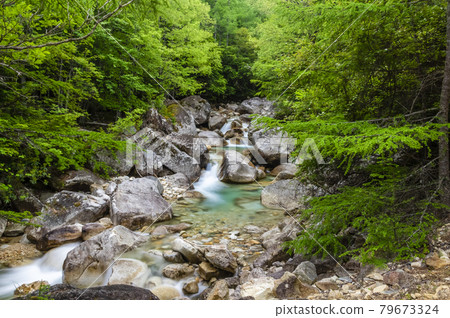 金浦山河 金浦山河 79673324