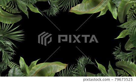 3d render frame from tropical plants on a black blackground 79673525