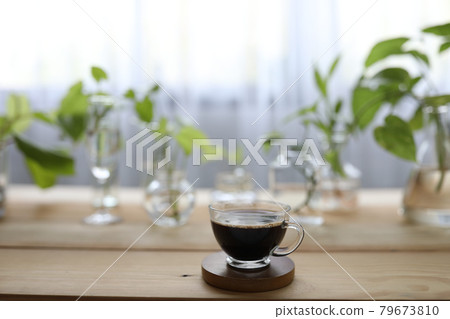 Coffee in glass and plants on glass vase and cup Coffee in glass and plants on glass vase and cup 79673810