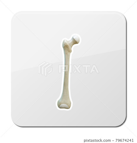 Bones icon. Single high quality symbol of human body for web design or mobile app. Thin line signs of bone for design logo, visit card, etc. pictogram of bone 3d 79674241