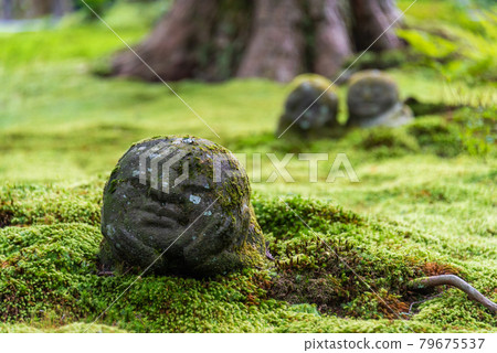 [京都] 大原三千院兒童地藏菩薩 79675537