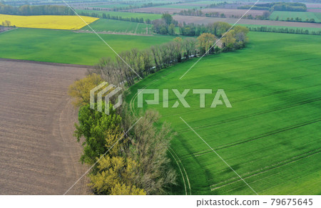 Aerial view of the meandering oxbow of a brook, whose bank is densely overgrown with tall trees Aerial view of the meandering oxbow of a brook, whose bank is densely overgrown with tall trees 79675645