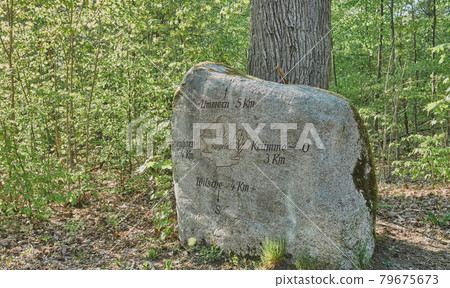 Historical signpost along a forest path in the heath, in which the cardinal points and the direction to nearby villages are engraved. Historical signpost along a forest path in the heath, in which the cardinal points and the direction to nearby villages are engraved. 79675673