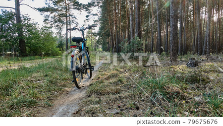 Electric bicycle on a sandy single trail on the edge of a forest in the heath 79675676