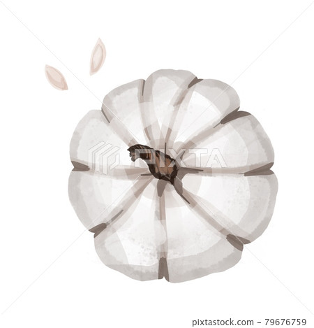 Beautiful white, rose end blue pumpkins on isolated white background. Autumn set of elements on isolated white background. Watercolor illustration. Hand drawing. It is perfect for thanksgiving cards Beautiful white, rose end blue pumpkins on isolated white background. Autumn set of elements on isolated white background. Watercolor illustration. Hand drawing. It is perfect for thanksgiving cards 79676759