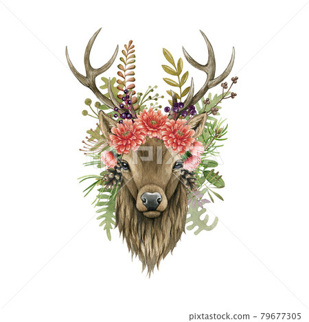 Deer animal portrait with flowers. Watercolor illustration. Hand drawn stag front view. Forest beautiful deer head floral element. Male stag with horns. Wildlife animal portrait on white background Deer animal portrait with flowers. Watercolor illustration. Hand drawn stag front view. Forest beautiful deer head floral element. Male stag with horns. Wildlife animal portrait on white background 79677305
