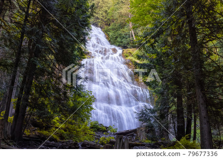 Bridal Veil Falls Provincial Park near Chilliwack 79677336