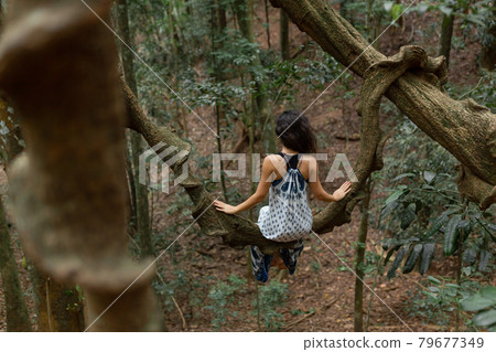 The girl sits on a huge liana tree branch in the jungle The girl sits on a huge liana tree branch in the jungle 79677349