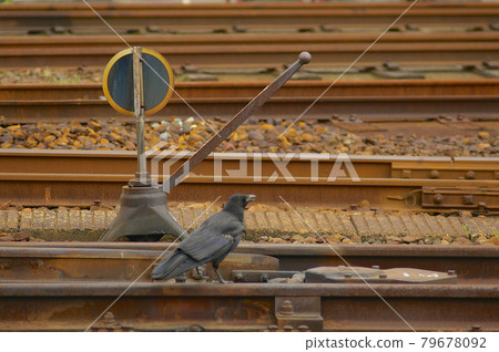 鐵路和烏鴉 79678092