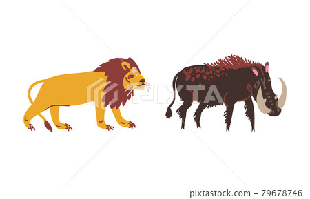 Lion and Boar with Tusks as African Animal Vector Set Lion and Boar with Tusks as African Animal Vector Set 79678746