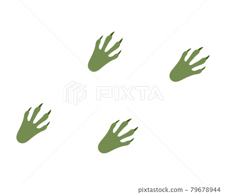 Crocodile footprints 79678944