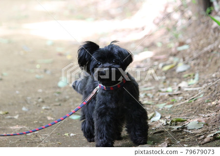 Did you find something? 79679073