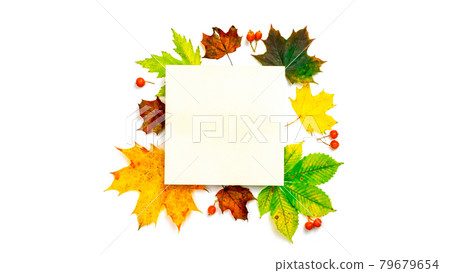 Autumn composition. Frame made of Green, yellow dried leaves, red berry isolated on white background for greeting card. Flat lay autumn composition with copy space. 79679654