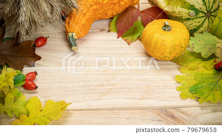Halloween Pumpkins. Natural harvest with wheat grain ear orange pumpkin, fall dried leaves, red berries and acorns, chestnuts on wooden background. Autumn, fall, thanksgiving day concept. Halloween Pumpkins. Natural harvest with wheat grain ear orange pumpkin, fall dried leaves, red berries and acorns, chestnuts on wooden background. Autumn, fall, thanksgiving day concept. 79679658