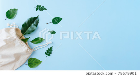 Creative minimalistic layout made of leaves with eco cotton bag on blue background . Flat lay. Nature sustainability, recycling concept. Natural cosmetic using Creative minimalistic layout made of leaves with eco cotton bag on blue background . Flat lay. Nature sustainability, recycling concept. Natural cosmetic using 79679901