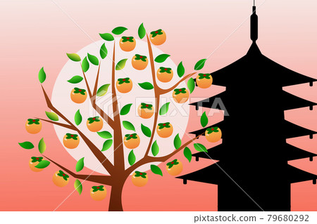 Persimmon tree 79680292