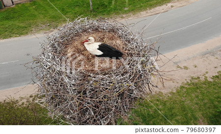 The stork sits in the nest against the background of the road. View from the drone. The stork sits in the nest against the background of the road. View from the drone. 79680397
