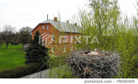A stork sits in a nest against the backdrop of a house. View from the drone. A stork sits in a nest against the backdrop of a house. View from the drone. 79680409