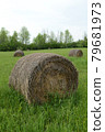 Hay Bale Farming Field 79681973