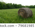 Hay Bale Farming Field 79681985