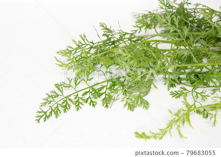 Fresh organic carrot leaves isolated on mable countertop. Vegetable leaves with copy space 79683055