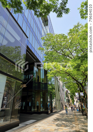 Cityscape of Omotesando, Shibuya-ku, Tokyo 79684010