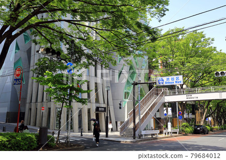 Cityscape of Omotesando, Shibuya-ku, Tokyo 79684012