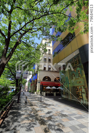 Cityscape of Omotesando, Shibuya-ku, Tokyo 79684013