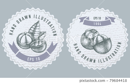 Monochrome labels design with illustration of mangosteen Monochrome labels design with illustration of mangosteen 79684418