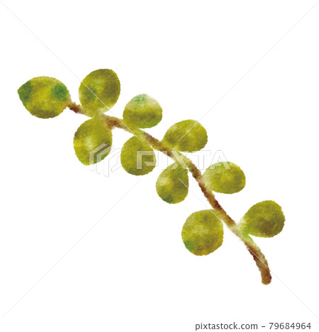 leaf leaf 79684964