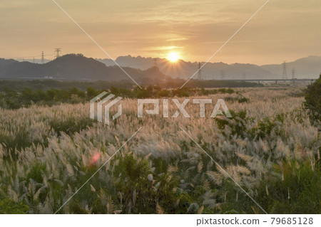 The sun rises, the eyes shine brightly. Written by Rokamori on the river bed, with white flowers reflecting the haze. The sun rises, the eyes shine brightly. Written by Rokamori on the river bed, with white flowers reflecting the haze. 79685128